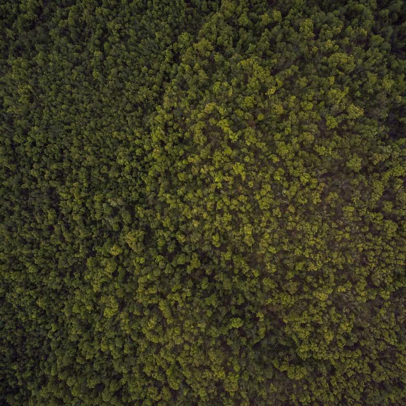 Cultural activities with children