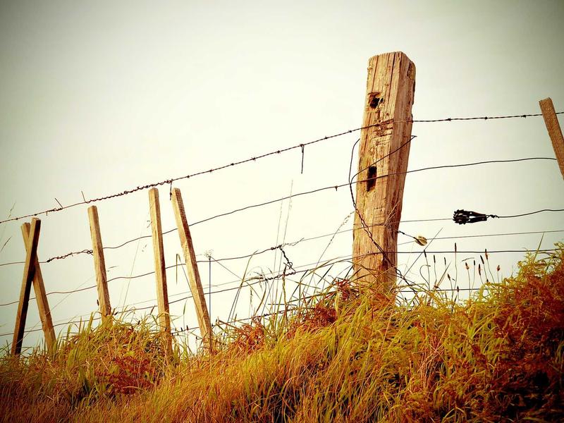 Advantages of Babysitter for Who Living in Ho Chi Minh